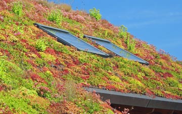 Elmdon Heath living roof systems